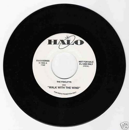 FIDELITYS - Walk with the wind.jpg