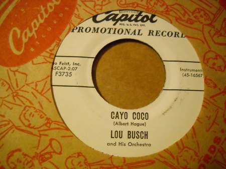 LOU BUSCH - Cayo coco -B-.jpg