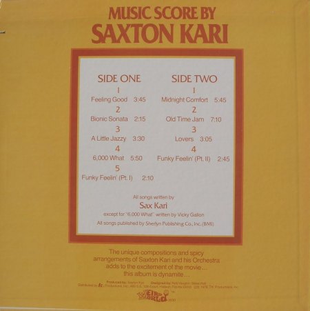 Sax Kari37The 6000 Dollar Nigger Rückseite.jpg