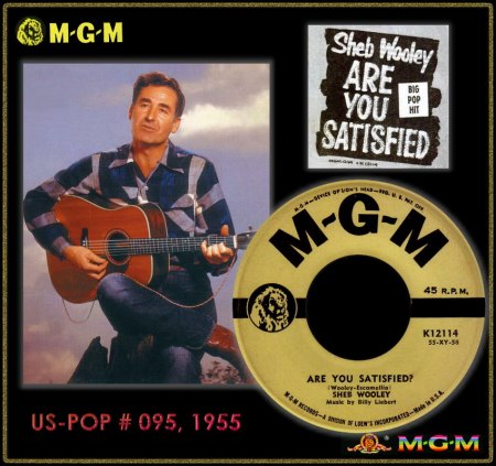 SHEB WOOLEY - ARE YOU SATISFIED_IC#001.jpg