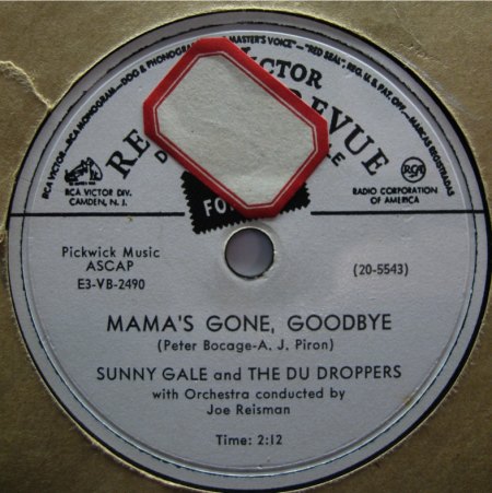 SUNY GALE - Mama's Gone, Goodbye -A5-.jpg