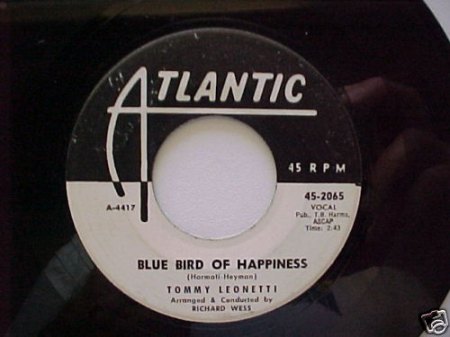 TOMMY LEONETTI - Blue Bird of Happiness -B2-.jpg