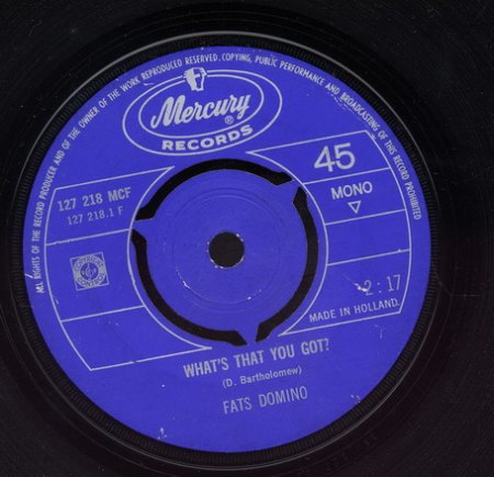 Domino, Fats ---26 (13)_Bildgröße ändern.jpg