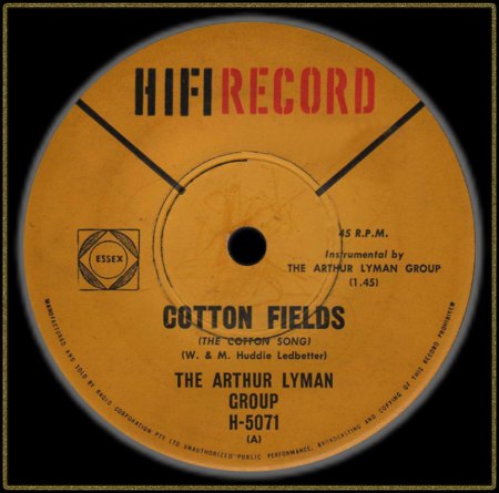 ARTHUR LYMAN - COTTON FIELDS_IC#002.jpg