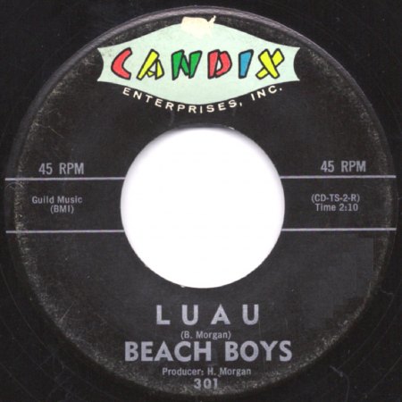CANDIX - Beach Boys 1 301b.jpg