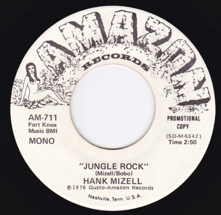 HANK MIZELL - AMAZON AM-711 A.jpg