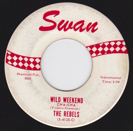 REBELS - SWAN S-4125-C B.jpg