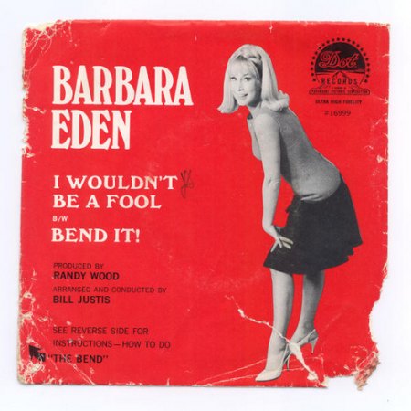 Eden,Barbara01Dot16999Sleeve Bend It!.jpg