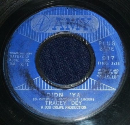 Dey,Tracey04Didn Ya AMY 917.jpg