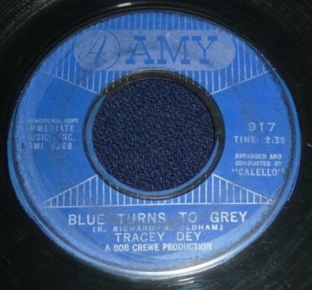 Dey,Tracey03Blue turns to grey AMY 917.jpg