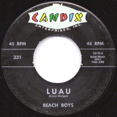 Candix301Beach Boys Luau.jpg