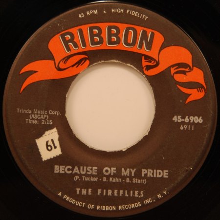 FIREFLIES - Because of my pride -B-.jpg