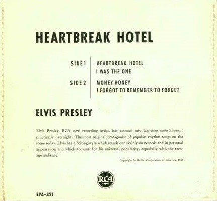 Elvis-presley-heartbreak-hotel sewed (3).jpg
