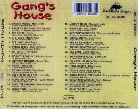 Gang's House - 55085 .jpg