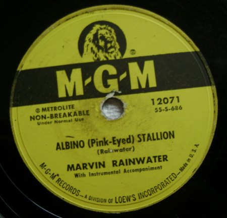 RAINWATER - Albino Stallion -B2-.JPG