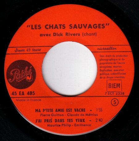 k-les chats sauvages 4.JPG