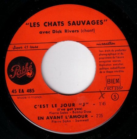 k-les chats sauvages 3.JPG