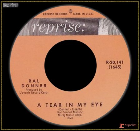 RAL DONNER - A TEAR IN MY EYE_IC#003.jpg