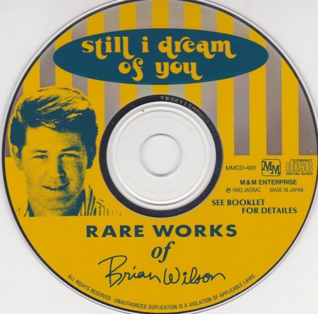 k-Brian Wilson Rare Works CD 1993 001.jpg