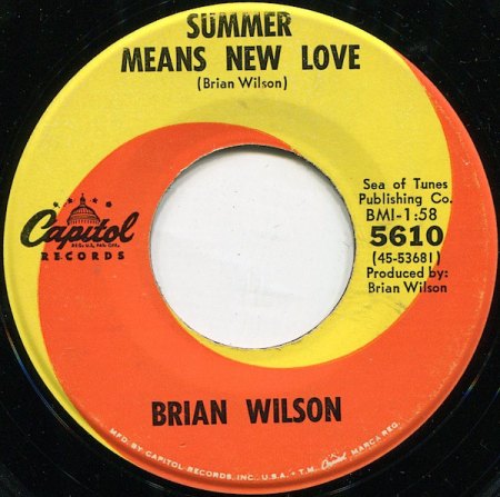 Brian Wilson 2.jpg