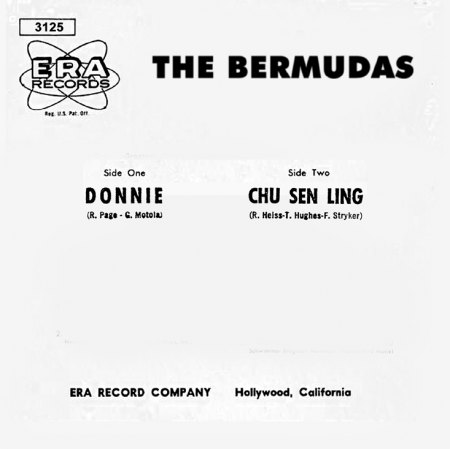 The Bermudas POCHETTE B.jpg