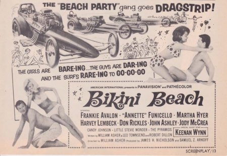 Bikini Beach11.jpg