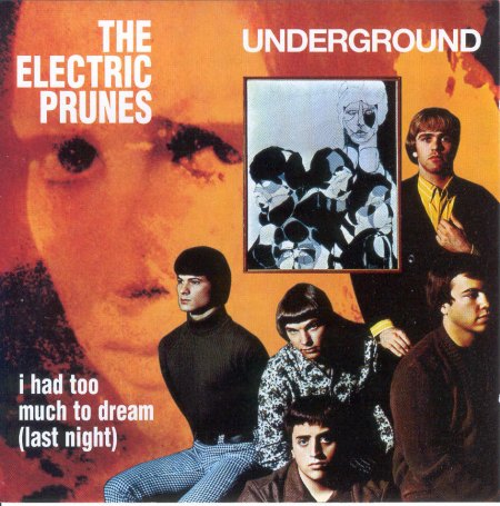 THE ELECTRIC PRUNES