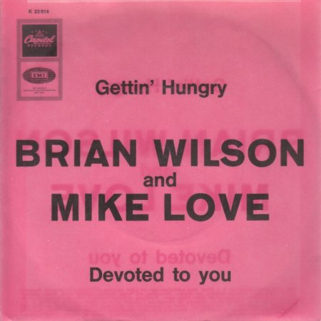 BRIAN WILSON - Tribute