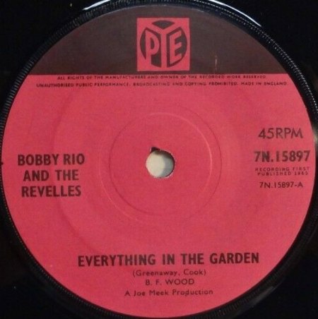 BOBBY RIO AND THE REVELLES
