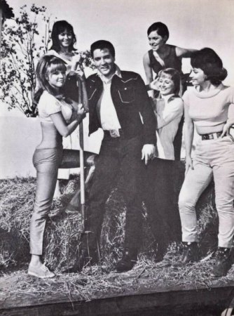 ELVIS PRESLEY And The Girls