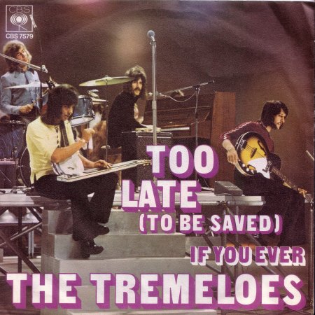 Tremeloes - Too Late.jpg