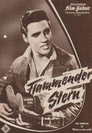 Elvis-Flammender Stern.jpg