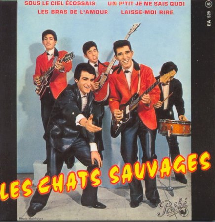 Chats Sauvages (les) - EP 4_Bildgröße ändern.jpg