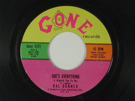 RAL DONNER - She's everything -A2-.jpg
