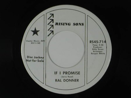 RAL DONNER - If I promise -A3- Promo.jpg